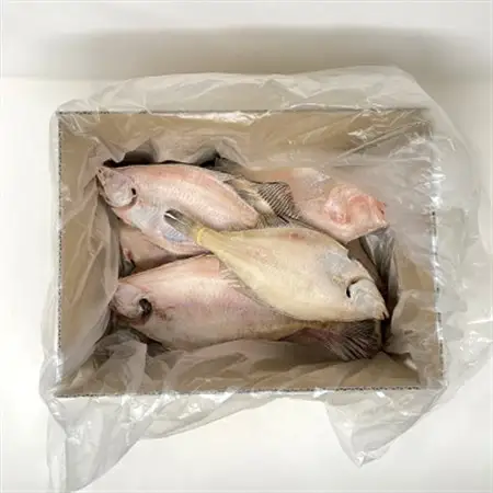 なんじゃもんじゃ訳あり未利用魚かれい　2kgセット_干物 訳あり かれい カレイ 一夜干し 魚 さかな ひもの おかず 焼魚 焼き魚 煮つけ 唐揚げ 朝食 ご飯のお供 おつまみ 魚介類 海産物 国産 自宅用 家庭用 冷凍 送料無料_【配送不可地域：離島】【1521673】