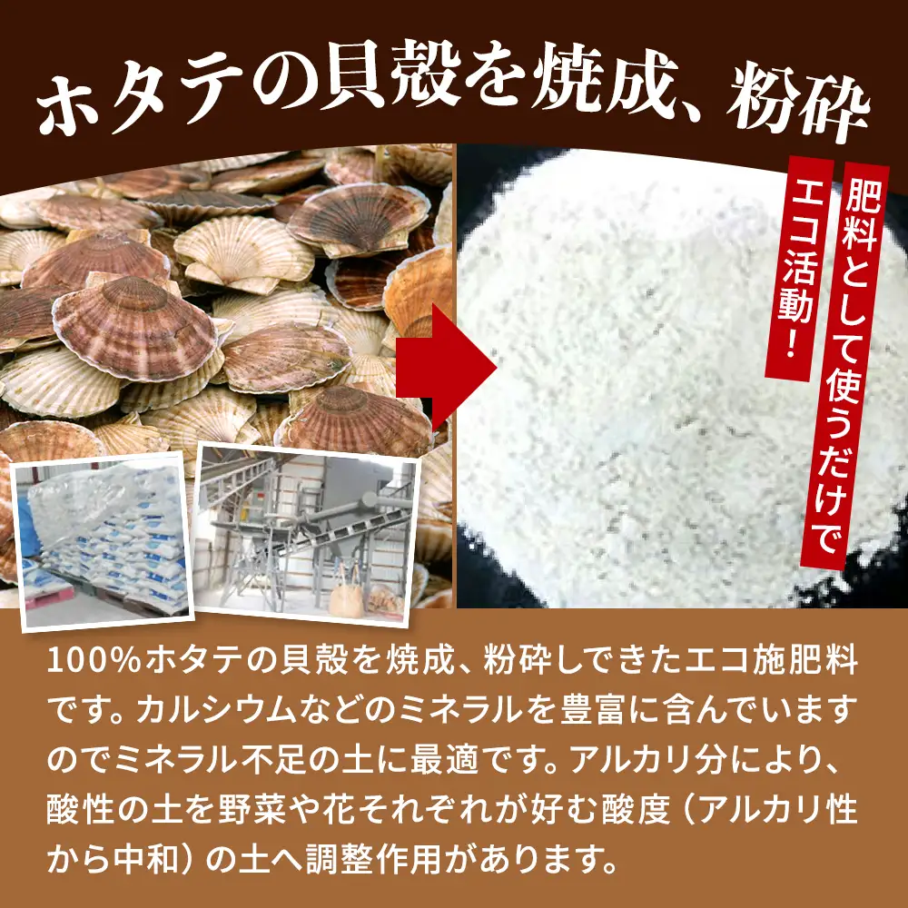 ホタテ貝殻肥料【自然還元カルシウム。ほたっちょマン】10kg　天然素材 アルカリ リサイクル【AS001】
