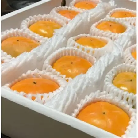 【先行受付】贈答用　たねなし柿　3kg_果物・フルーツ 柿（カキ）  かき_【1519944】
