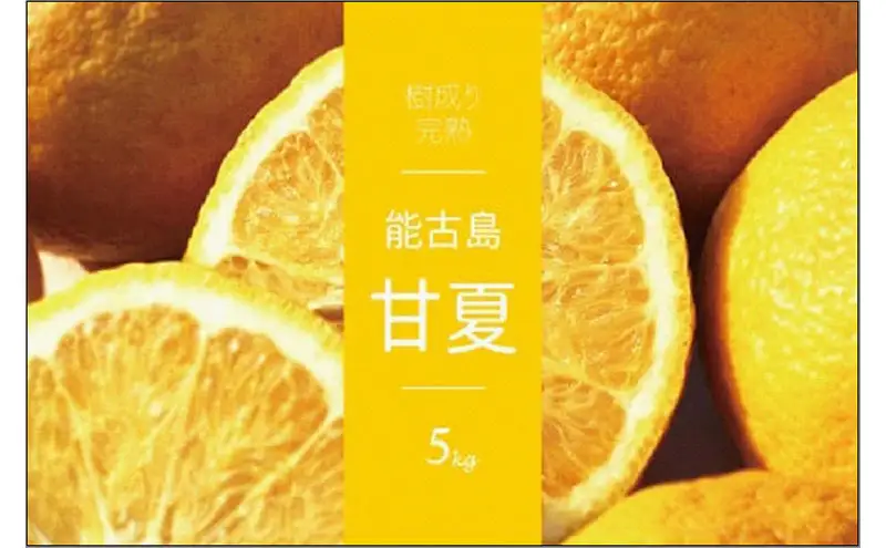 福岡県 能古島産 甘夏5kg | フルーツ 柑橘 かんきつ みかん ミカン 蜜柑 あまなつ 食品 おすすめ 送料無料