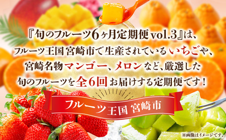 【数量・期間限定】旬のフルーツ6ヶ月定期便vol.3 果物定期便 くだもの フルーツ 定期便 マンゴー みかん いちご