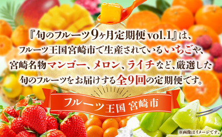 【数量・期間限定】旬のフルーツ9ヶ月定期便vol.1 果物定期便 フルーツ 旬 くだもの 果物 定期便 いちご せとか 日向夏 マンゴー