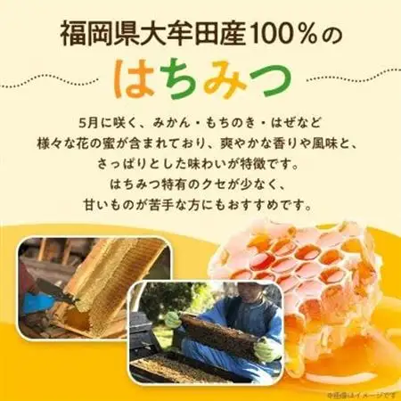 坂井養蜂場　昔ながらの蜂蜜　300g　2本組_調味料 はちみつ  ハチミツ 蜂蜜_【1093309】