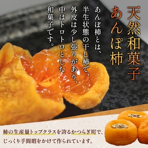 あんぽ柿 化粧箱 約70g×15玉 【注文確定後７日～10日程度で発送】【KG20】【BK020-kgr017】