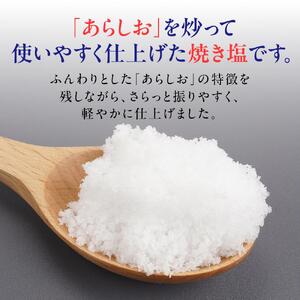 あらしおやきしお 90g×10袋入り◇