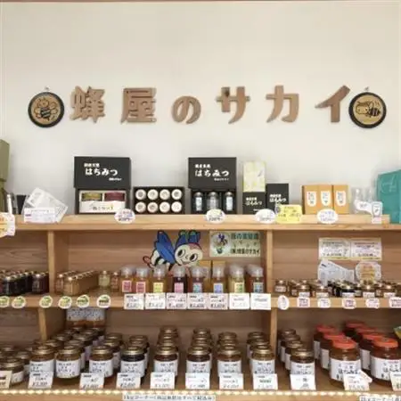 福岡県産純粋非加熱蜂蜜【百花蜜】300g SSCボトル入り　2本セット_調味料 はちみつ  ハチミツ 蜂蜜_【1445878】