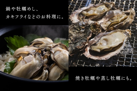 [2027年1月8日より発送！] くばおう 広島県大竹市産 むきみ牡蠣 500g 約2人前 [1877]