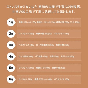 【12ヶ月定期便】宮崎県川南町産豚肉　放牧豚定期便A（放牧黒豚入り） 【 豚 肉 豚肉 黒豚 国産 九州産 宮崎県産 川南町 加工品 セット 送料無料 】
