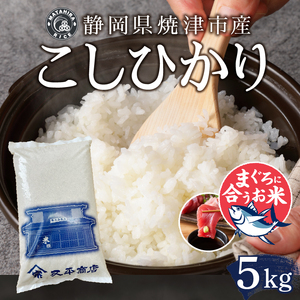 a12-293　令和７年産　マグロによく合うお米 コシヒカリ 白米5kg