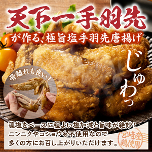 【手羽先サミット殿堂入り！】極旨塩 手羽先 唐揚げ 24本（国産 鶏肉 手羽 手羽先 唐揚げ 塩 味付き 限定 冷凍）