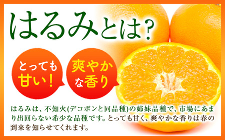 大玉 ご家庭用はるみ約5kg(2L~5L サイズお任せ)