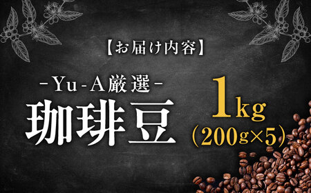 コーヒー 珈琲豆 1kg （200g×5） [ANDR002] コーヒー