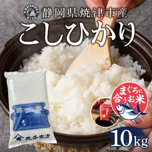 a24-066　令和７年産 マグロによく合うお米 コシヒカリ 白米10kg（5kg×2袋）
