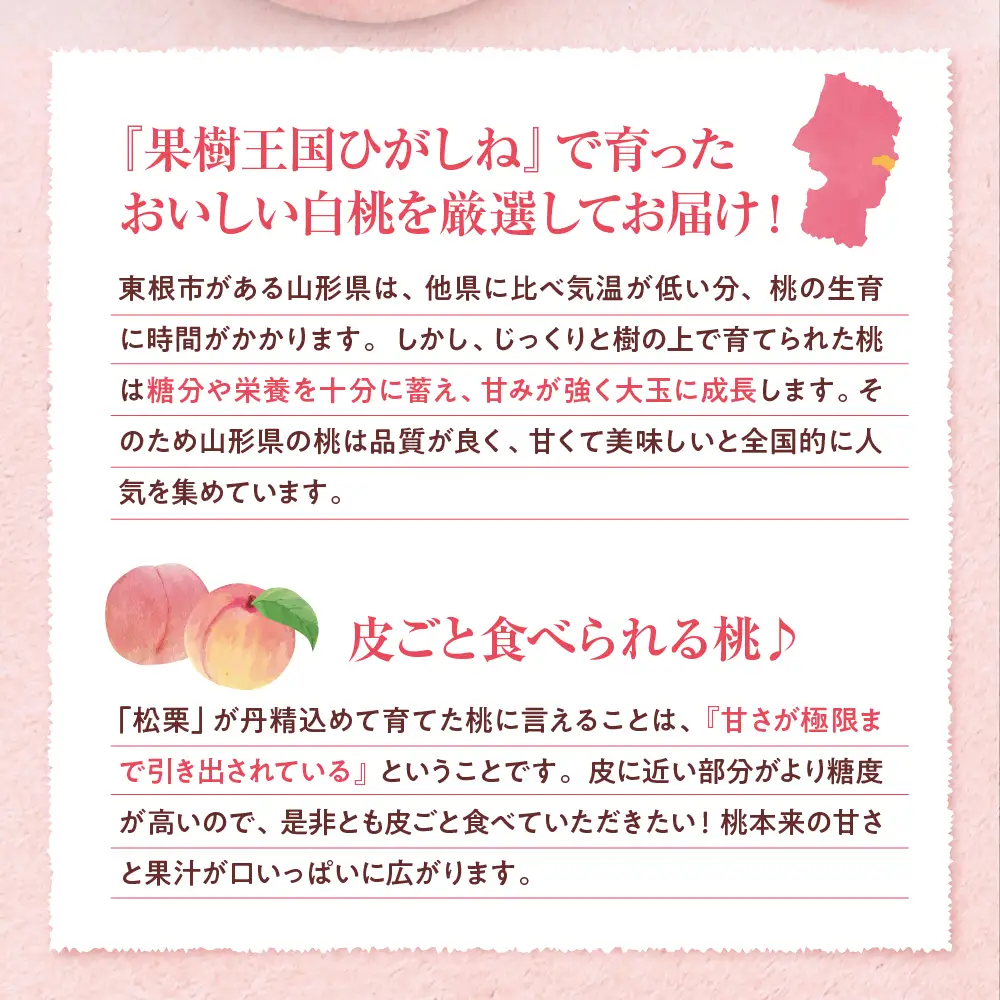 【2026年産】 真の果実 贈答用 白桃 2kg 白桃