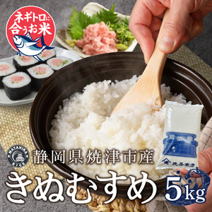 a12-295　令和７年産 ネギトロと相性抜群のお米 きぬむすめ 白米5kg