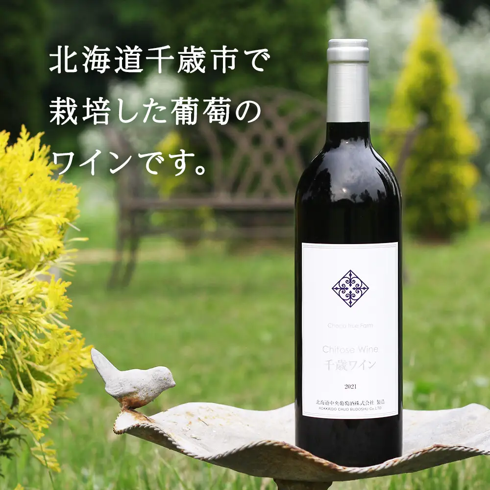 千歳ワイン2021（Chitose Wine）750ml 1本＜ ギフト箱 入 ＞