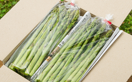 先行受付 数量限定 訳あり なたぎり アスパラ 1kg 令和7年産 2025年産 グリーンアスパラガス アスパラガス 朝採り 尾花沢市 農家直送 in-vgafx1