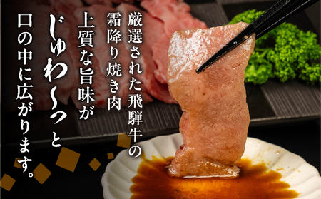 飛騨牛 5等級 上カルビ焼肉 500g バラ肉（ 赤身 / 霜降り ) 焼肉 牛肉 肉 焼き肉 和牛 カルビ BBQ バーベキュー 炒め物 ギフト 贈り物 飛騨岐阜人[Q2509]