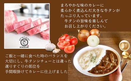 牛タン カレー 200g ×3個 セット ぶつぎりたんちゃん名物料理
