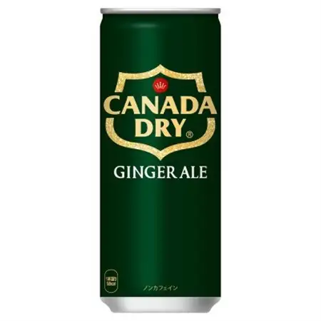 カナダドライジンジャーエール250ml缶×30本_飲料・ドリンク 炭酸飲料 ジュース _【1551264】