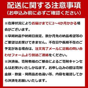 カセットコンロ スリム アイリスオーヤマ 安全装置付き キャンプ 調理 アウトドア スタイリッシュ スリム IGC-E1-W オフホワイト