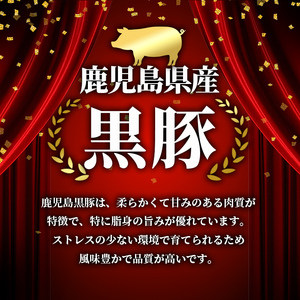 鹿児島県産 黒豚 しゃぶしゃぶ用 ローススライス 計1kg 500g×2パック 【スターゼン】 i997