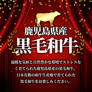 i1000 鹿児島県産 黒毛和牛 切り落とし (計1kg・500g×2パック) 国産 九州産 鹿児島産 黒毛和牛 牛肉 国産牛 切り落とし 切落し 小分け 冷凍配送 【スターゼン】