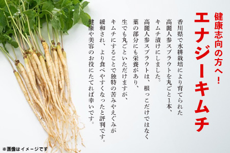 【5カ月定期便】一子相伝 秘伝のエナキム(高麗人参スプラウト・キムチ)1袋1本入り(H104144)