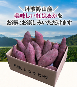 丹波ふるさと村 さつまいも 紅はるか 5kg（サイズ混合・訳あり） さつま芋 サツマイモ Q100