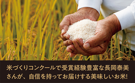 はえぬき 令和7年産 10kg （1袋） 2025年産 農家直送 精米 こめ コメ 山形県 朝日町産