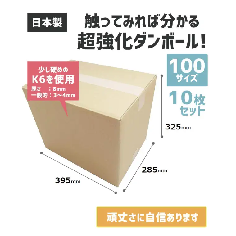 ダンボール 宅配 100サイズ 強化ダンボール10枚セット【埼玉県 春日部市 高耐久仕様 重量物保護 安全輸送 引越し】(CX008)