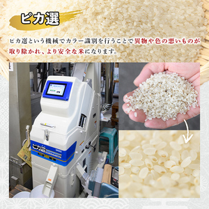 ＜令和7年産＞大分県産ひのひかり 胚芽ビタミン米(計4kg・1kg×4パック)米 お米 ひのひかり ヒノヒカリ 白米 大分県産【107800302】【お米の鈴木】
