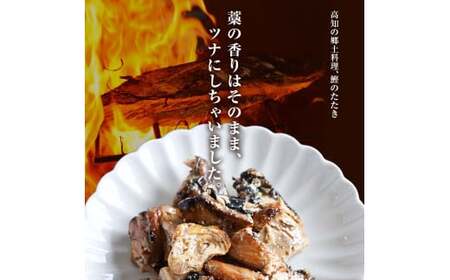 鰹ツナパウチ 100g×10袋セット 100グラム 国産 おにぎり つなまよ ツナマヨ ご飯 お弁当 魚 パスタ サラダ たんぱく質 タンパク質 おやつ かつお【企業組合　宇佐もん工房】 [BQAB065]