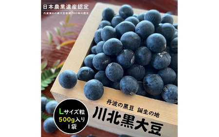 【新物 令和7年産】川北黒大豆　Lサイズ粒　500g入り【 豆類 丹波の黒豆 最高級ブランド 大粒 甘み コク おせち料理 煮豆 黒豆ごはん 黒豆茶 お菓子作り 】　