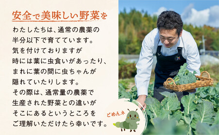 訳あり 野菜セット 約3～4種類 農家のおすそわけ 旬 野菜セット