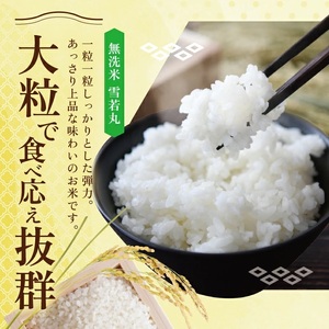 SH0066　【令和8年産 新米予約】≪6回定期便≫［無洗米］ 雪若丸 5kg×6回（計30kg）KN