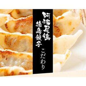阿波尾鶏　徳島餃子96個入