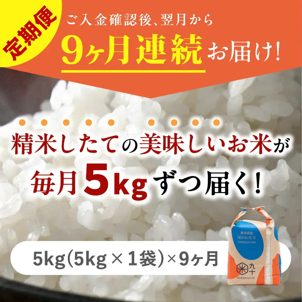 【定期便9ヶ月】 米 5kg はれわたり 青森県産 (精米) 定期便9回 5kg×9回