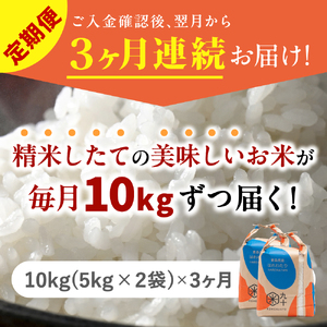 【定期便 3ヶ月】 米 10kg はれわたり 青森県産 (精米) 定期便3回 10kg×3回