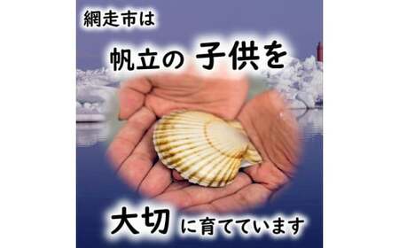 オホーツク産 冷凍帆立（ほたて）の貝柱 ４Ｓサイズ１kg ABX070 | 帆立 ほたて