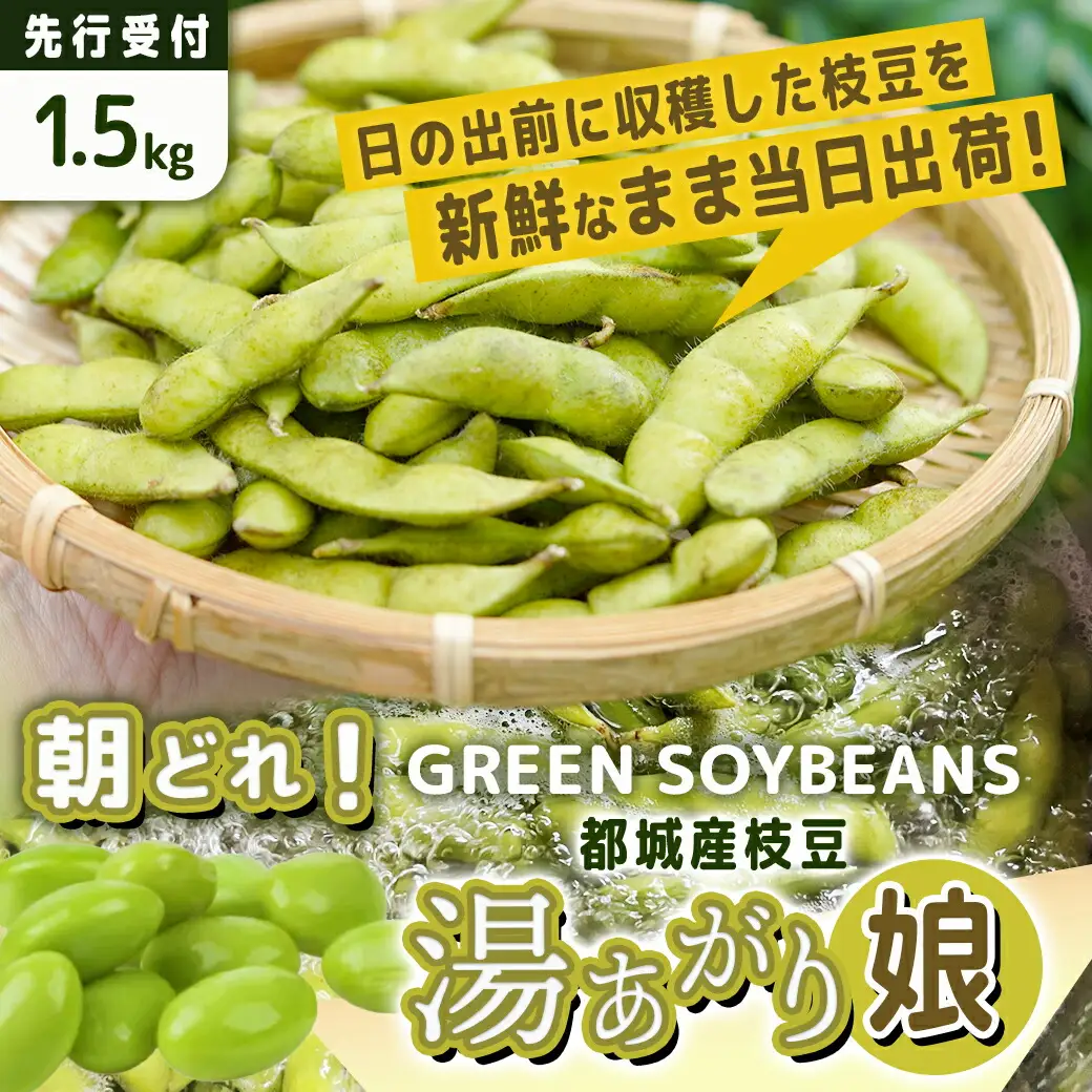 【先行受付】都城産枝豆(湯あがり娘)1.5kg(250g×6P)〔11-B402-7〕_(都城市) 都城産枝豆 湯あがり娘 1.5kg おつまみ 産地直送 先行受付