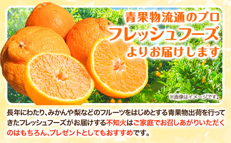不知火 約3kg フレッシュフーズ 《2027年2月下旬-4月下旬頃出荷》熊本県産 (荒尾市産含む) 柑橘 フルーツ フレッシュフーズ 不知火 果物 デコポン と同品種 送料無料 果物 しらぬい 旬 オレンジ みかん 美味しい不知火 旬の不知火 ジューシー不知火 フルーツ不知火