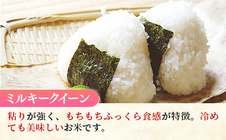 令和7年産 ミルキークイーン 精米 10kg (5kg×2袋)  中山産業 【価格変更AB】