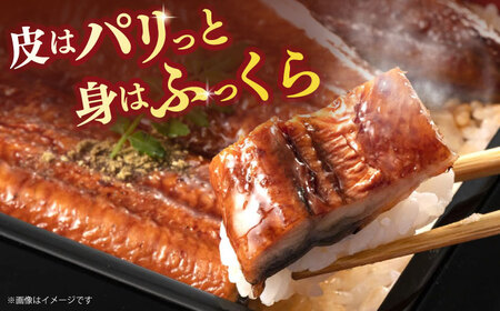 鰻のかば焼き1尾 / 大村市 / うなぎ ウナギ 鰻 蒲焼 / お料理やまうえ [ACZL002]