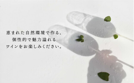 甲斐市ワイン　おまかせワイン3本セット　山梨県 甲斐市 AD-275