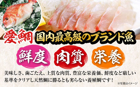 愛鯛 養殖真鯛1尾 冷凍 [AGDA001]