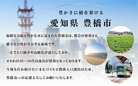 返礼品無しの寄附 3000000円     返礼品無し 