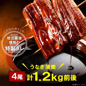 うなぎの蒲焼ビッグサイズ 4尾（計1.2kg前後） _KP9406