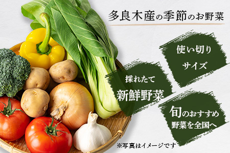 【定期便3回】熊本の大地の恵み 旬の こだわり野菜詰め合わせセット 8～12品 （3～4名様向け）3回配送 獲れたて 新鮮 野菜 セット 詰め合わせ 詰合せ 定期便 産地 直送 国産 季節 旬野菜 家族 ファミリー 多良木町 024-0810