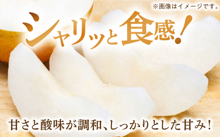 【2026年先行予約】梨（豊水）3kg箱[ECO002]梨 ほうすい
